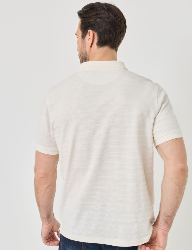 Model Back View