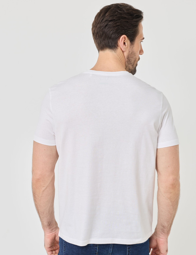 Model Back View