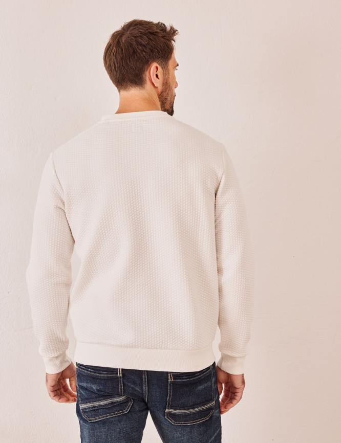 Model Back View