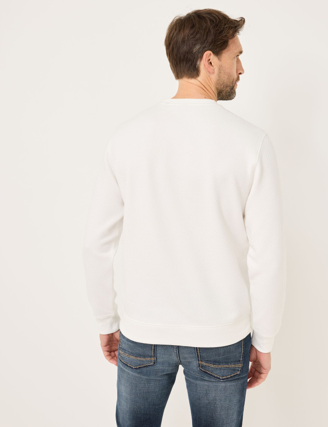 Model Back View