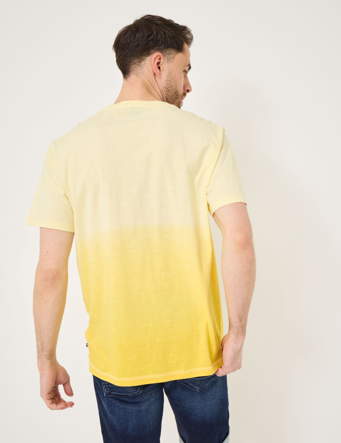 Model Back View