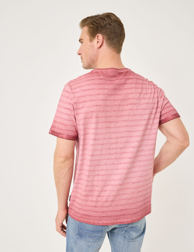 Model Back View