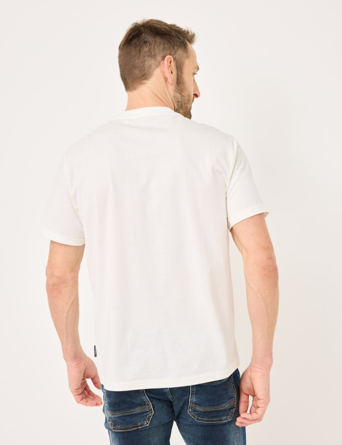 Model Back View