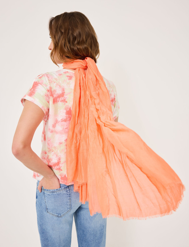Model Back View