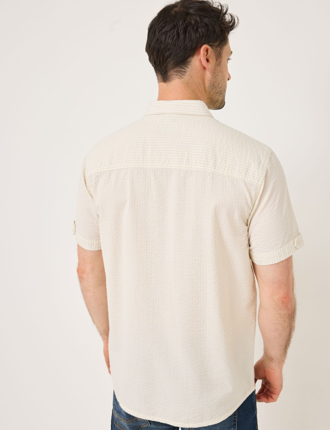 Model Back View