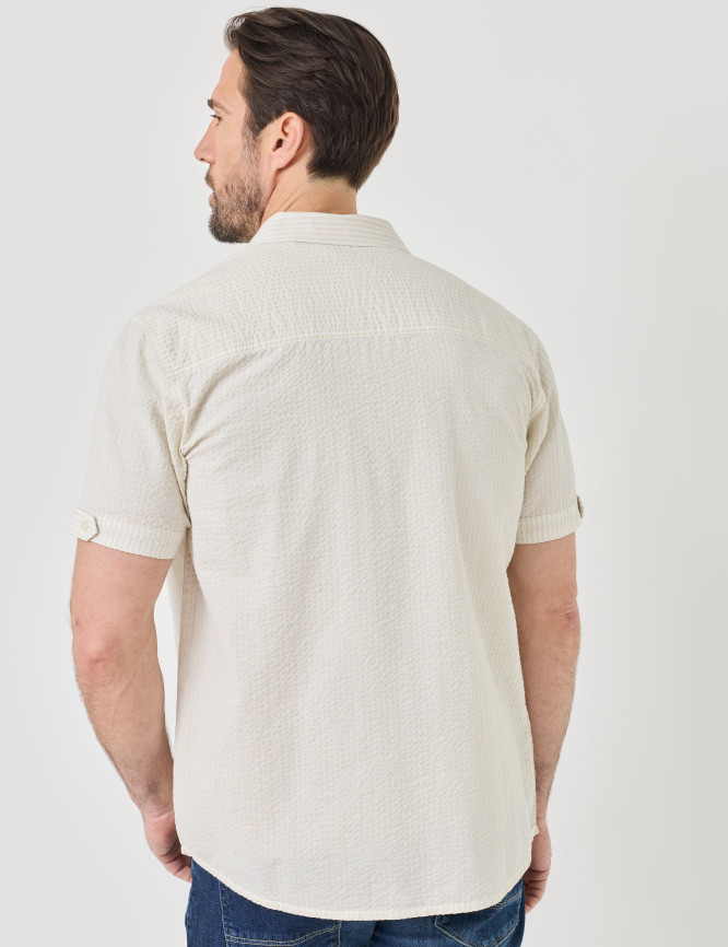 Model Back View